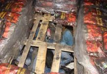 Trei afgani, găsiți într-un TIR care descărca marfa la Dedeman, în Târgu-Jiu