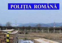 Cherestea în valoare de peste 100.000 de lei, confiscată de polițiști