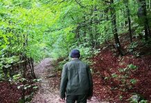 Pădurar din Gorj, ucis de hoții de lemne