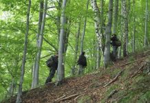 Silvicultorii fac miting în fața Palatului Parlamentului