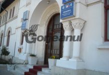 Narcisa Cristea câștigă și ea împotriva lui Romanescu