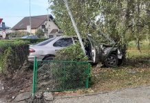 Șoferul care a intrat cu mașina în parc, amendat