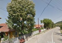 Localitățile din Gorj aflate în scenariul roșu