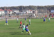 Gilortul a fost zdrobită la Dumbrăvița