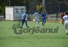 Pandurii, în picaj. Viitorul, tot mai sus