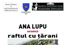 Astăzi, vernisaj la Muzeul Judeţean Gorj