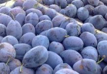 Peste o tonă de legume și fructe, confiscate de polițiști