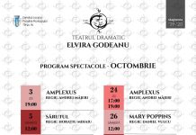 Programul lunii octombrie la Teatrul „Elvira Godeanu”