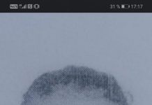 FOTO: A dispărut de acasă pentru a cincea oară