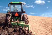 Agricultura pe înțelesul tuturor – Graficul lucrărilor agricole în luna octombrie