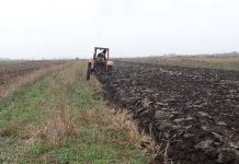 Agricultura pe înţelesul tuturor – Graficul lucrărilor agricole în luna decembrie