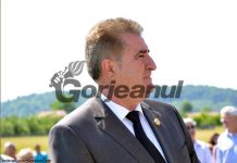 Senatorul Iriza: Vă cer să votați Guvernul Orban!