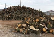 Controale la depozitele de material lemnos, în patru comune din Gorj