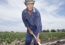 Gorjul, în top la valoarea indemnizației pensionarilor agricultori