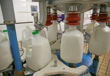 Activitate sistată pentru o unitate de procesare a laptelui din Bumbeşti-Piţic