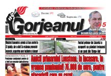 Peste 60 de medalii pentru karatiștii din Târgu Jiu