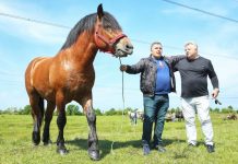 Consilierii locali au spus NU la fasole și ciolan în Drăguțești! Anul trecut, la manifestări a fost prezent Boza