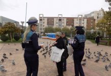 Alegeri prezidențiale 2019! – Târgujienii au aflat cum se pedepsește frauda electorală