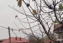 A intrat cu mașina într-un cap de pod și a fugit