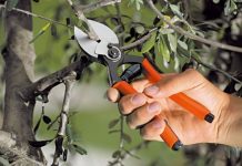 Agricultura pe înțelesul tuturor – Lucrări agricole în repausul vegetativ