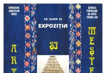 Expoziția ,,Artă și meșteșug”, vernisată vineri, la Muzeul Județean