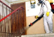 Controale la firmele care fac deratizări și dezinsecții