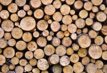 Transport de material lemnos, verificat de polițiști. Descoperirea făcută de oamenii legii