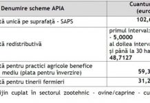 Peste 1 miliard de euro, autorizat la plată de APIA