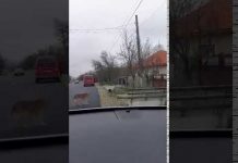 Șeful Poliției Rovinari și un procuror, anchetează suspiciunile de fraudă de la Fărcășești!