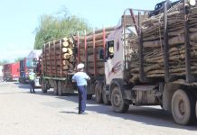 Amendă de 5.000 de lei pentru o firmă din Padeș