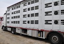 Transportator de animale, sancționat de inspectorii sanitar-veterinari