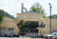 Contre politice pe tema finanțării UM Sadu