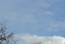 Elicopterul SMURD, chemat de urgență la Târgu-Cărbunești, după ce un bebeluș s-a opărit cu ceai