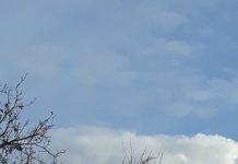 Bebeluș din Vladimir, opărit cu ceai, transportat cu elicopterul SMURD la București