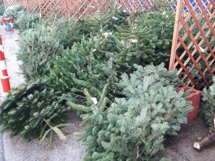 79947821_448963829115693_238424775746125824_n