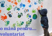 Ziua Voluntariatului, marcată joi, la Târgu-Jiu