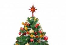 O, BRAD FRUMOS… !(reeditare)