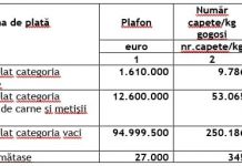 S-au aprobat cuantumurile pentru sprijinul cuplat în sectorul zootehnic (SCZ)!