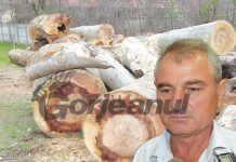 Primar nevoit să taie lemnele la şcoală!