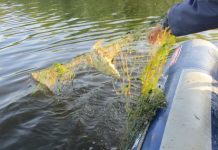 Doi bărbați din Rovinari, cercetați pentru că au pescuit ilegal