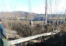 Foto: O plută a căzut peste malul pârâului Ploștina! Unități CEO, fără curent, municipiului lăsat fără apă