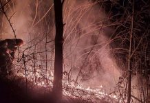 30 de incendii de vegetație uscată, în cinci zile