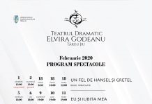 Programul lunii Februarie la Teatrul Dramatic „Elvira Godeanu” Târgu Jiu