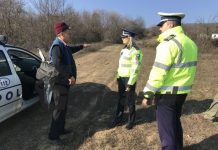 A început ancheta în cazul hoților de lemne agresivi de la Bibești!