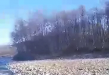 FOTO: Doi tineri s-au aruncat în Gilort ca să scoată crucea de Bobotează, la Bengești-Ciocadia