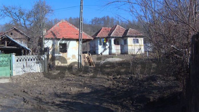 vlcsnap-2020-01-30-15h35m38s305