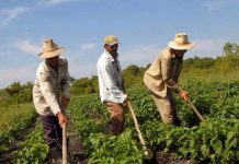 Zilierii, înregistraţi printr-o aplicaţie mobilă!