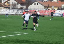 Succes, la scor, pentru panduri