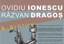 Vernisaj de arte vizuale, mâine, la Târgu Jiu