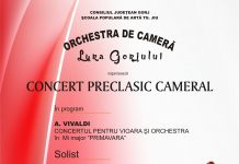 Mâine, un nou concert al Orchestrei Lyra Gorjului